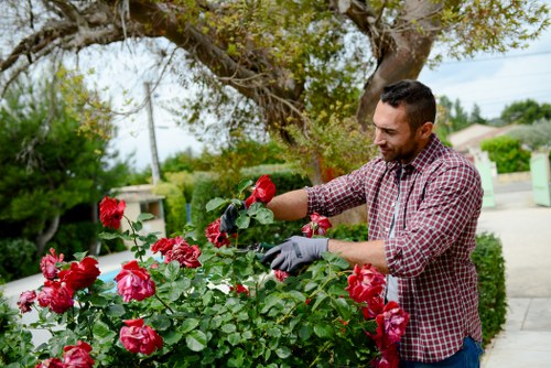 Close-up of gardeners arranging plants