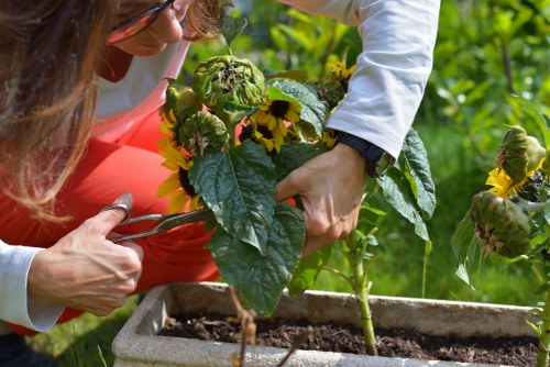 Essential garden maintenance tools arranged neatly