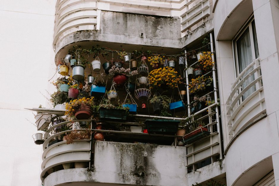 A close-up view of a small urban balcony garden on a concrete building, featuring a diverse collection of potted plants and flowers arranged along the railing and on shelves. The pots are made of vari